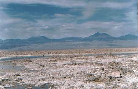 Salar